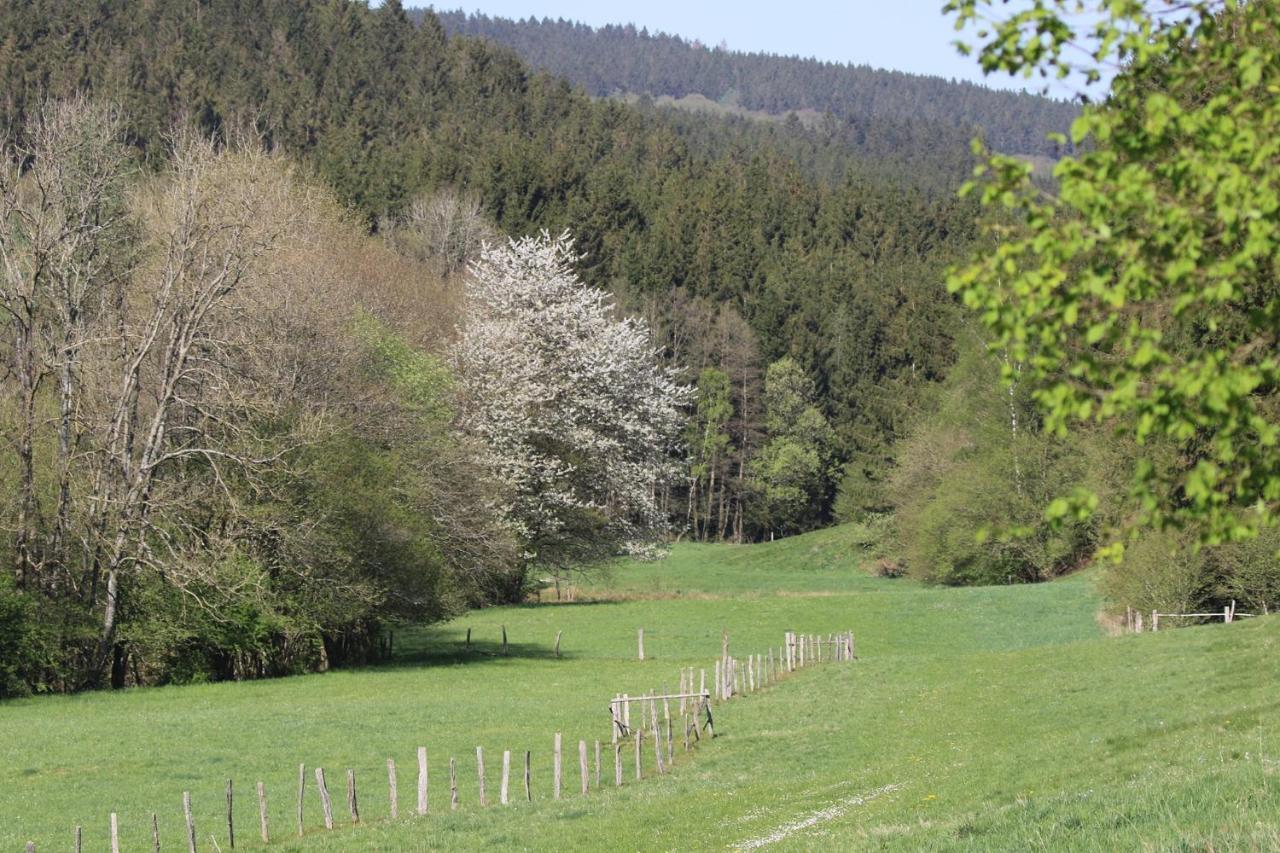 Le Clos Du Cerf - Silence & Nature Stoumont Exteriör bild